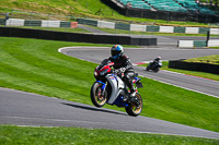 cadwell-no-limits-trackday;cadwell-park;cadwell-park-photographs;cadwell-trackday-photographs;enduro-digital-images;event-digital-images;eventdigitalimages;no-limits-trackdays;peter-wileman-photography;racing-digital-images;trackday-digital-images;trackday-photos